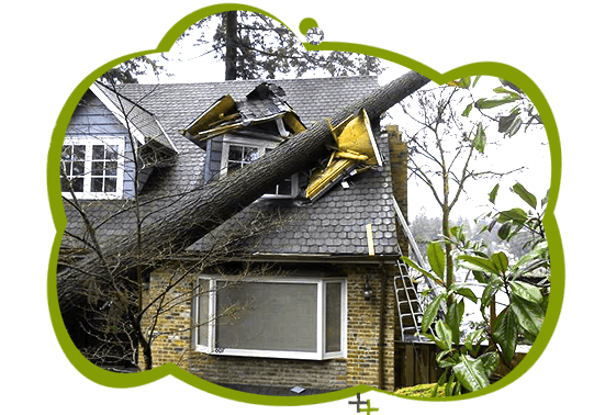 Property Damage Contingency Planning