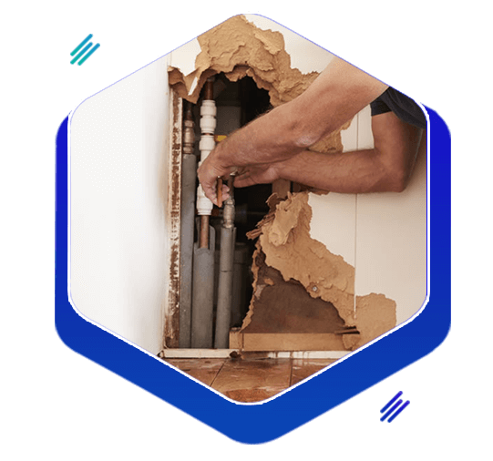 Best water damage repair Service