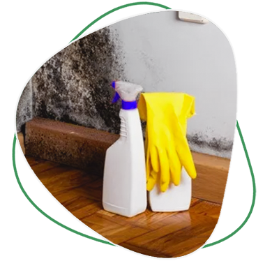 Mold Removal